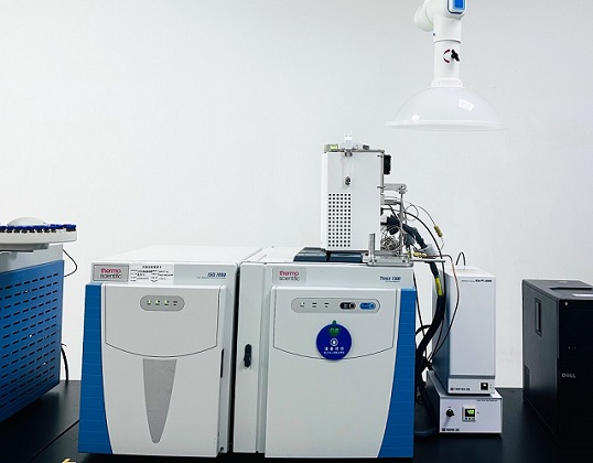 热裂解-气相色谱质谱联用仪