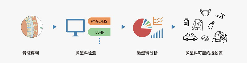 生物样本微塑料检测分析流程图