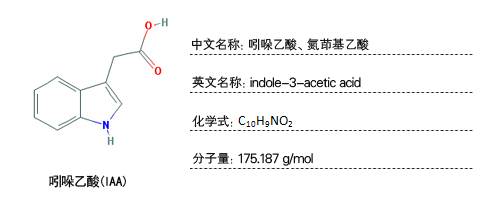 吲哚乙酸检测