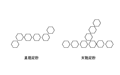 直链淀粉和直链淀粉结构图