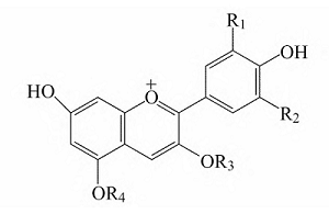 花青素分子式