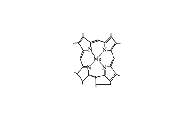 叶绿素分子结构式