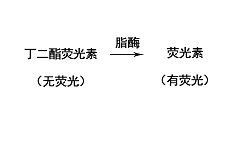 酶活性测定公式