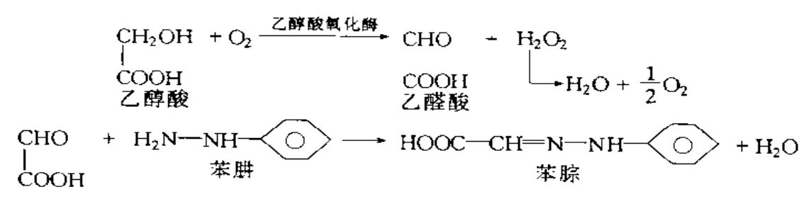 乙醇酸氧化酶测定