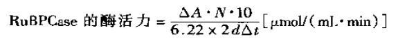 核酮糖-1,5-二磷酸羧化酶活性测定计算公式