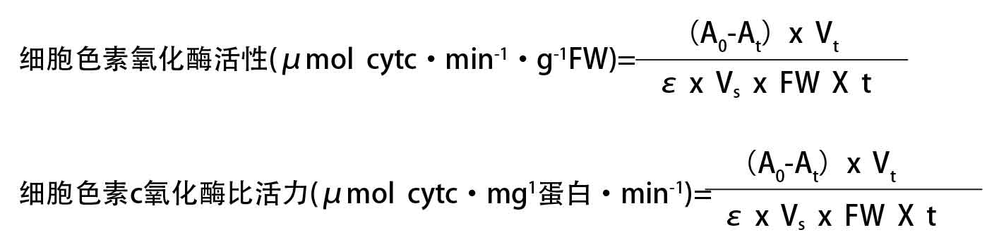 氧化酶活性测定